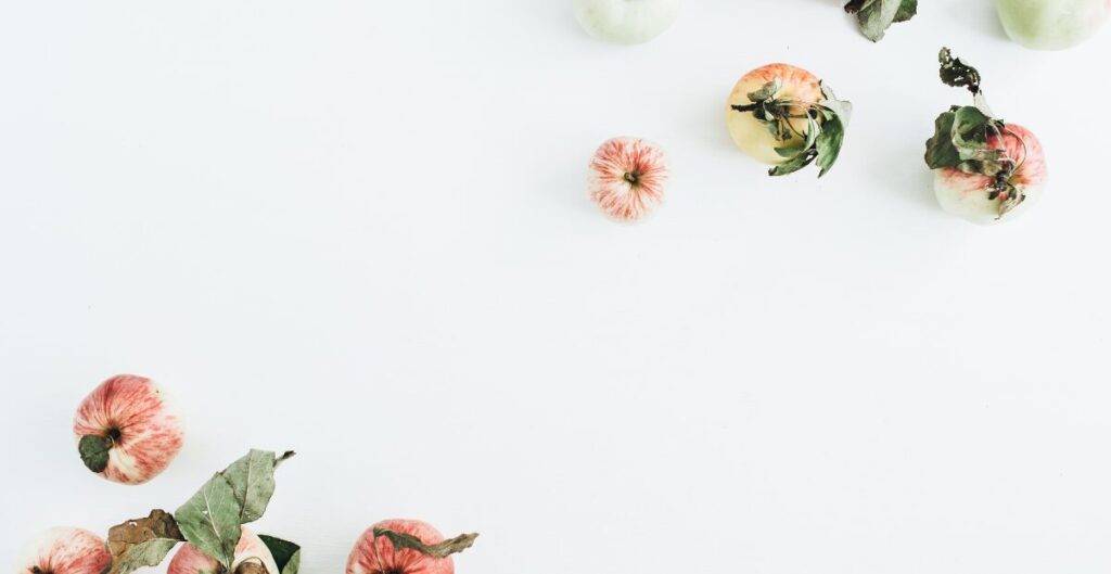 「正解」を求めて迷走した、健康オタク期の落とし穴