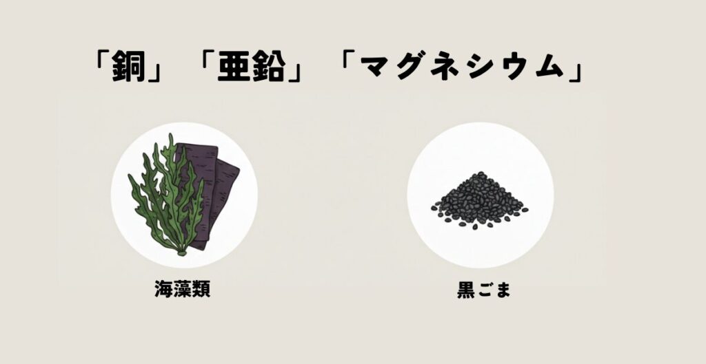 「銅」や「亜鉛」「マグネシウム」を含む食材イメージ